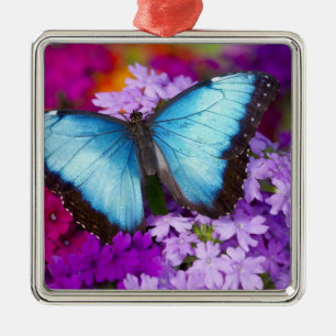 Sammamish Washington Tropical Butterfly Metal Tree Decoration