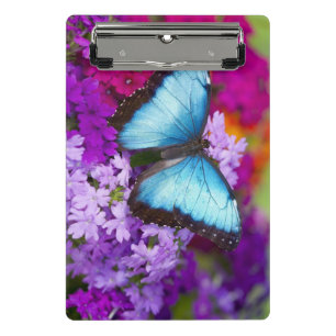 Sammamish Washington Tropical Butterfly Mini Clipboard