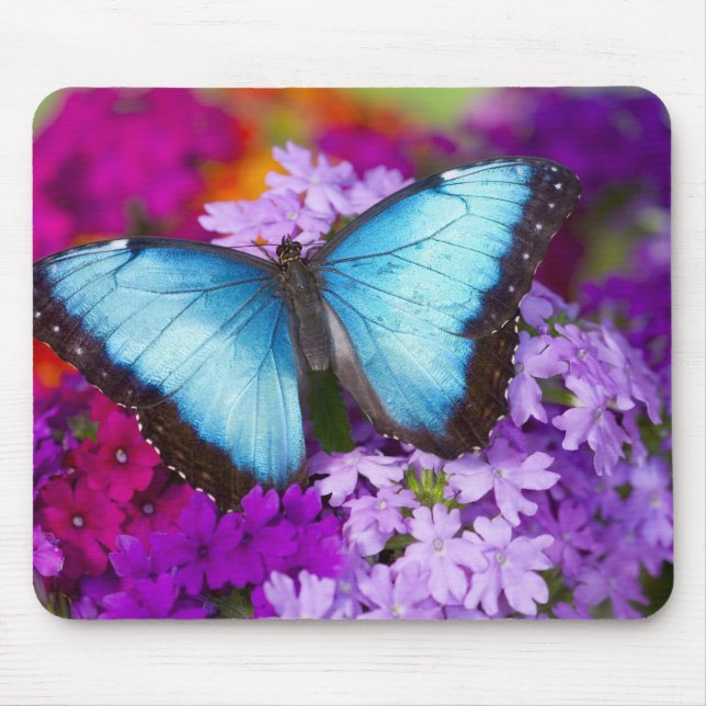 Sammamish Washington Tropical Butterfly Mouse Pad (Front)