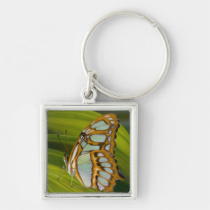 Sammamish, Washington, USA Key Ring