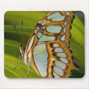 Sammamish, Washington, USA Mouse Pad