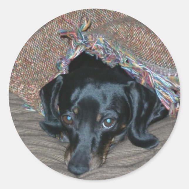 Sammi under weather classic round sticker (Front)