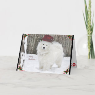 Sammie Christmas Card' 5X7 folded Card