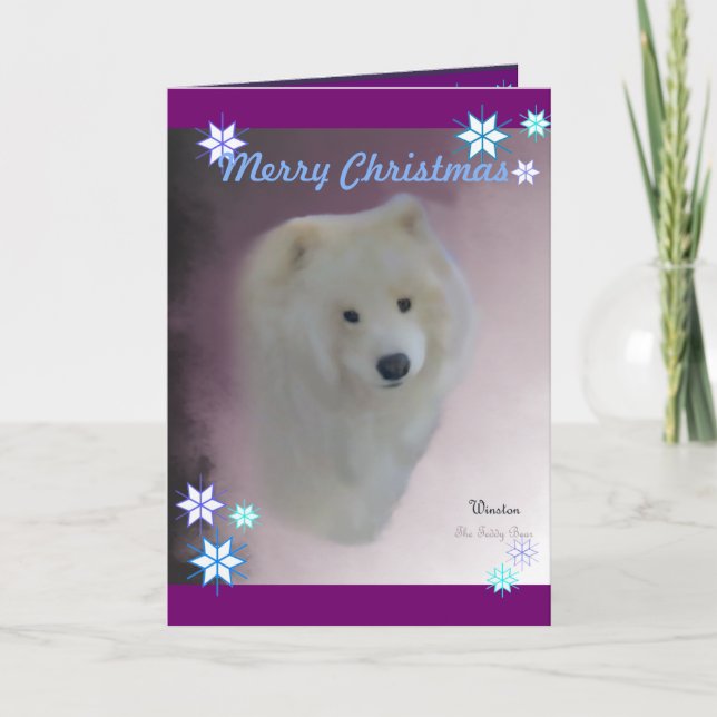 Samoyed A7 Greeting Card,  w/envelope Holiday Card (Front)