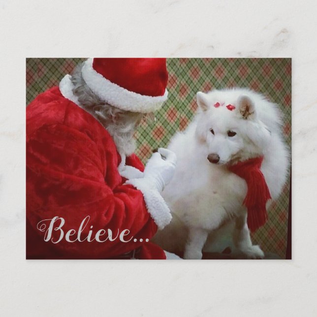 Samoyed and Santa Christmas Postcard (Front)