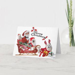 Samoyed and Santa in Sleigh cards