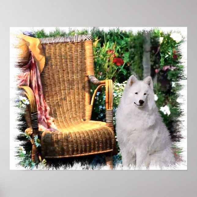 Samoyed Art Print (Front)