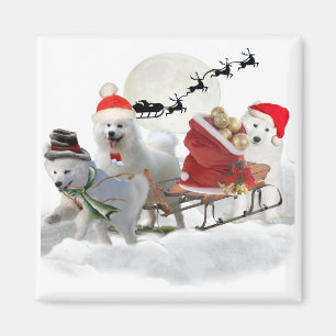 Samoyed Christmas Magents Magnet