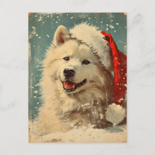 Samoyed christmas  postcard