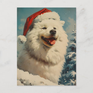 Samoyed Christmas Postcard