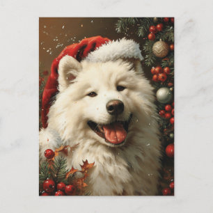Samoyed Christmas Postcard