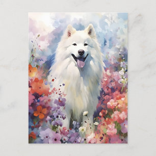 Samoyed colourful watercolor artwork postcard