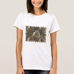 Samoyed Dog Breed Long Sleeve T-Shirt