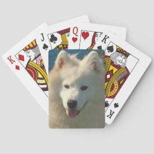 Samoyed Dog Playing Cards