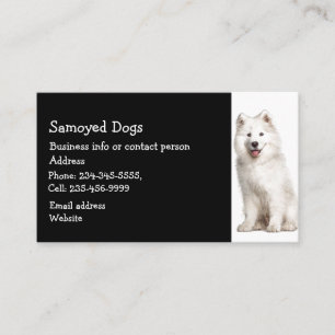 Samoyed Dogs Breeder Pet Sitter Business Card