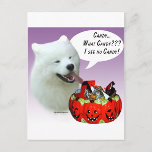 Samoyed Halloween Candy Postcard
