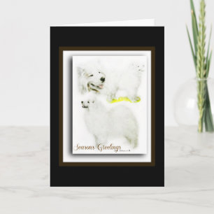 Samoyed Holiday Card