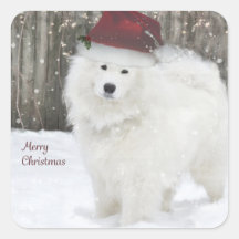 Samoyed Holiday Stickers--20 Rounded Squares