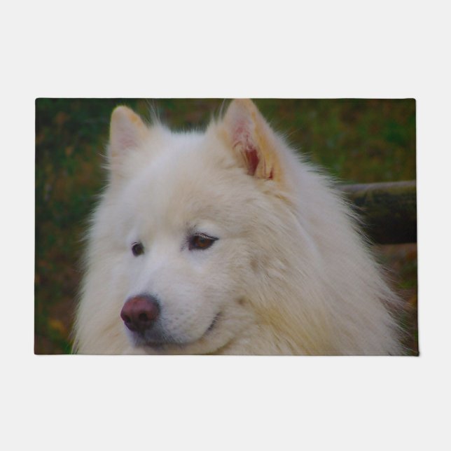 Samoyed Husky. Doormat (Front)