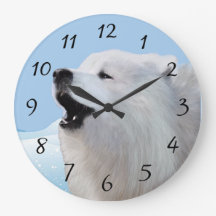 Samoyed Large Acrylic Wall Clock