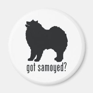 Samoyed Magnet