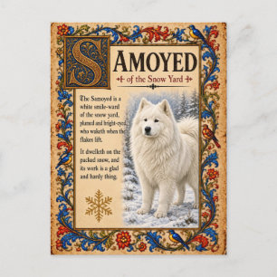 Samoyed, Mediaeval Bestiary Art Postcard