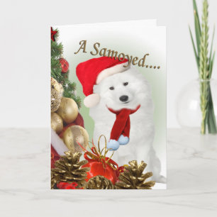 Samoyed Merry Christmas Card