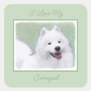 Samoyed Painting - Cute Original Dog Art Square St Sticker