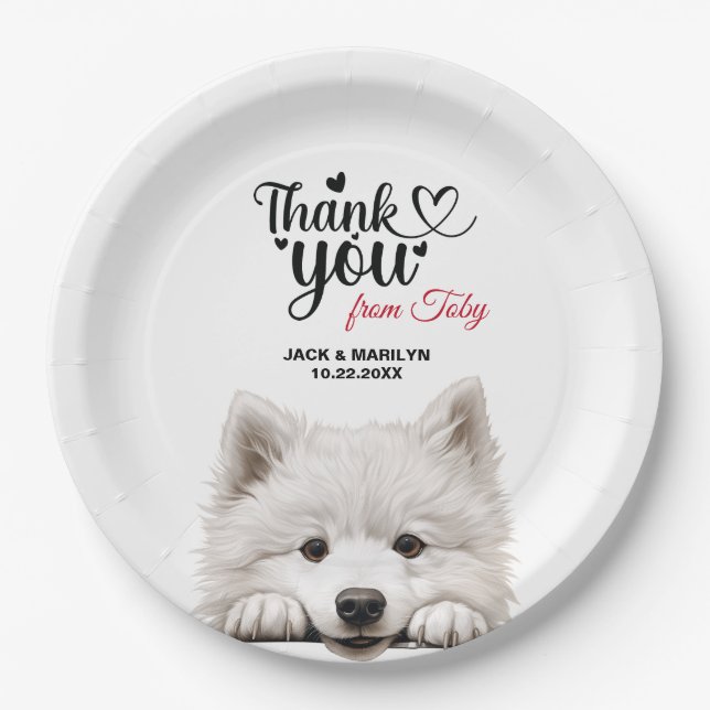 Samoyed Paper Plate (Front)