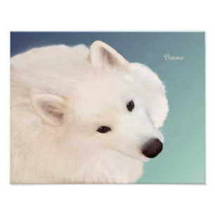 Samoyed Portrait;14" x 11",Prof.Photo Paper Satin Photo Print