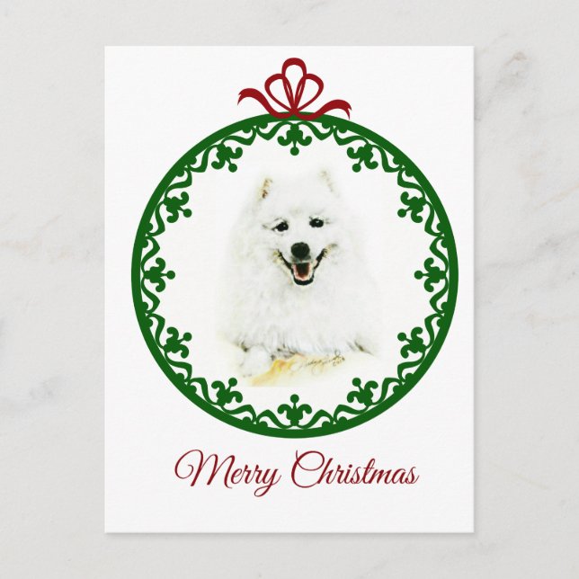 Samoyed Postcard (Front)