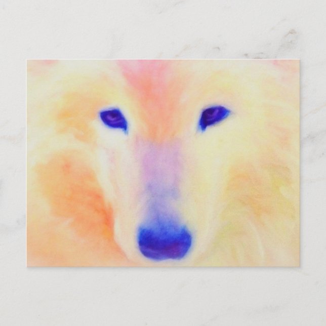 Samoyed postcard (Front)