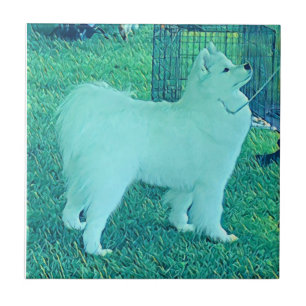 Samoyed Puppy ceramic tile