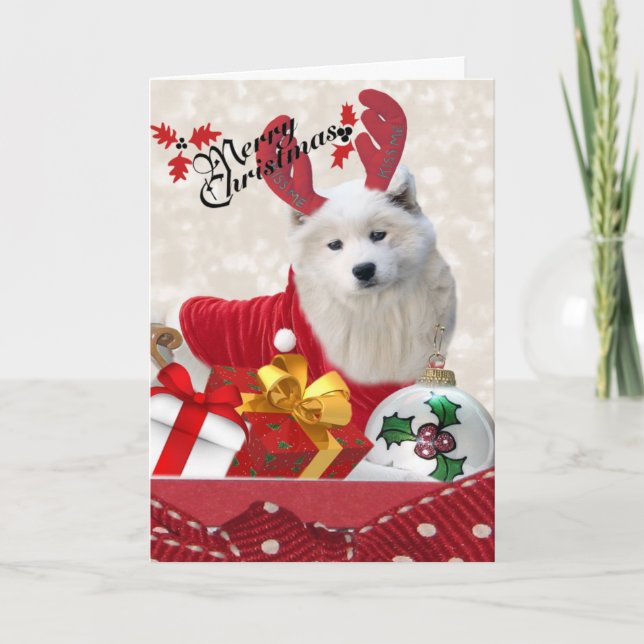Samoyed Reindeer Merry Christmas Cards (Front)
