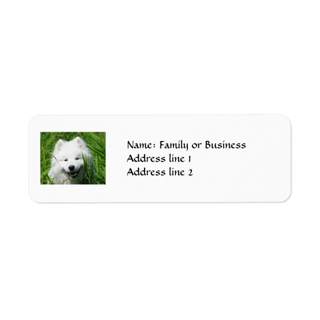 Samoyed Return Address Labels (Front)
