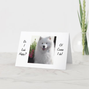 SAMOYED SAYS HAPPY THAT YOU ARE "21" CARD