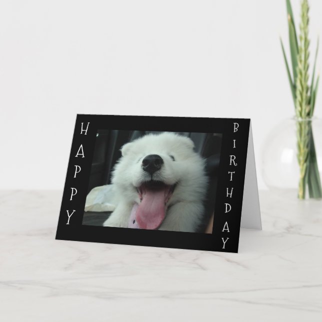 SAMOYED SAYS SAVE ME CAKE/I LOVE U BIRTHDAY WISH CARD (Front)