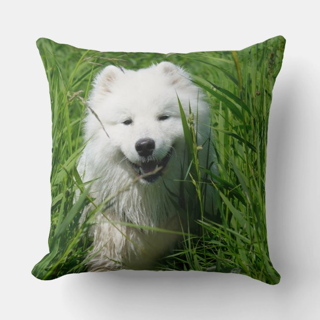 Samoyed Throw Pillow (Front)