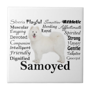 Samoyed Traits Ceramic Tile