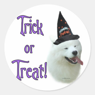Samoyed Trick Classic Round Sticker