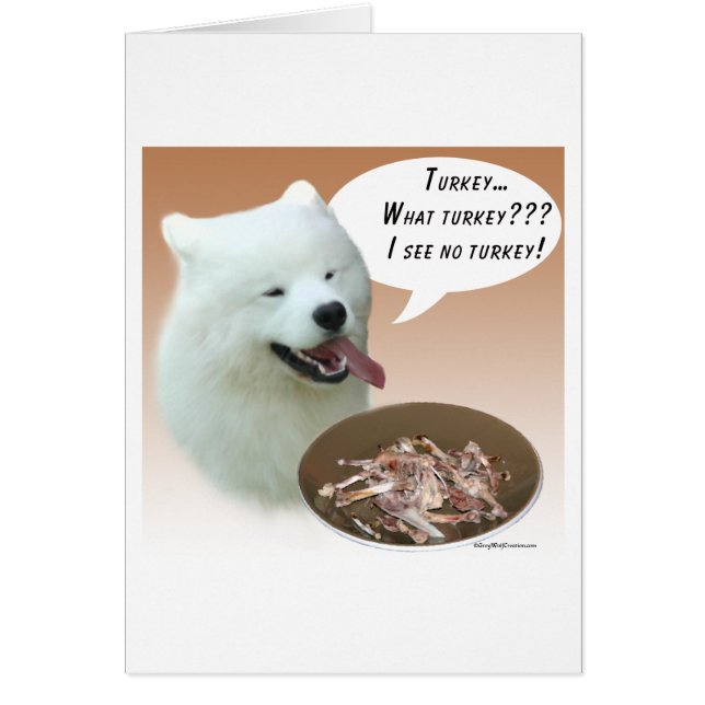 Samoyed Turkey (Front)