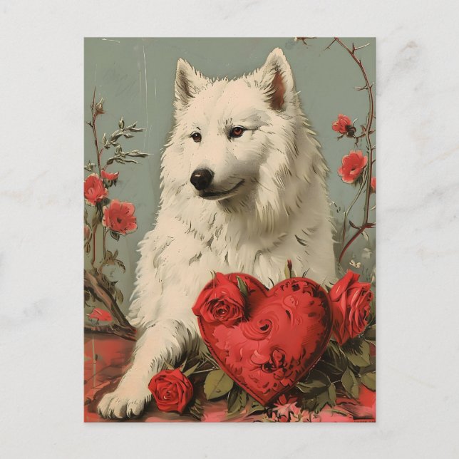 Samoyed Vintage Valentine's day  Postcard (Front)