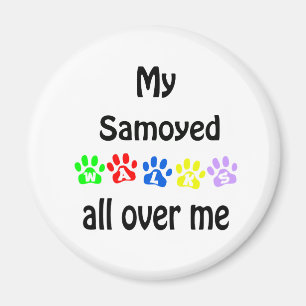 Samoyed Walks Design Magnet