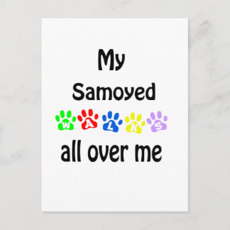 Samoyed Walks Design Postcard