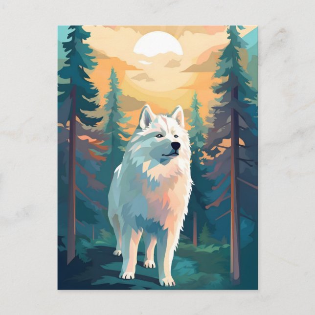 Samoyed winter mountain forest during sunset postcard (Front)