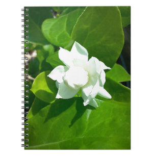 Sampaguita Jasmine flower Spiral Notebook