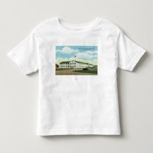 Sampson Air Force Base Building Toddler T-Shirt