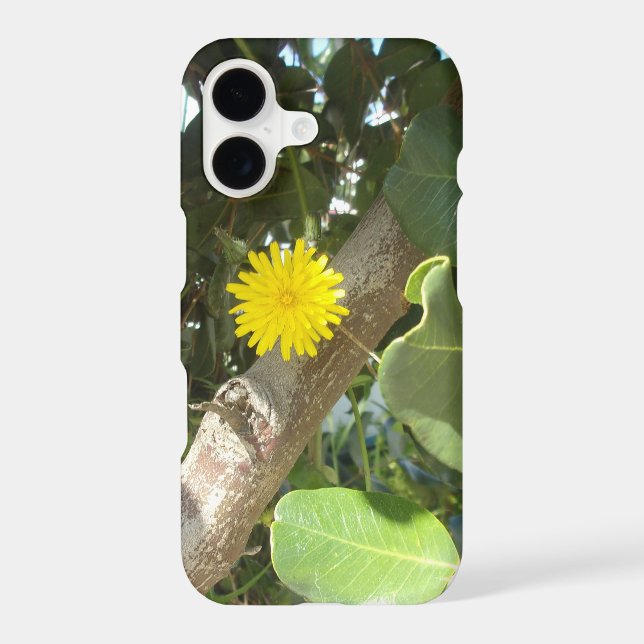 SAMSUNG GALAXY S21 CASE ECO PHOTOGRAPH  (Back)