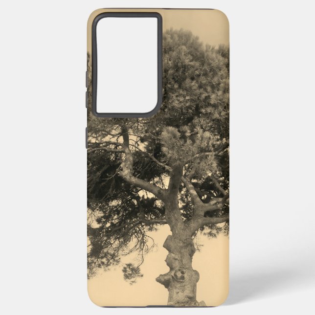 SAMSUNG GALAXY S21 ULTRA CASE COOL ECO (Back)