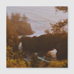 Samuel H. Boardman, Oregon Coast
